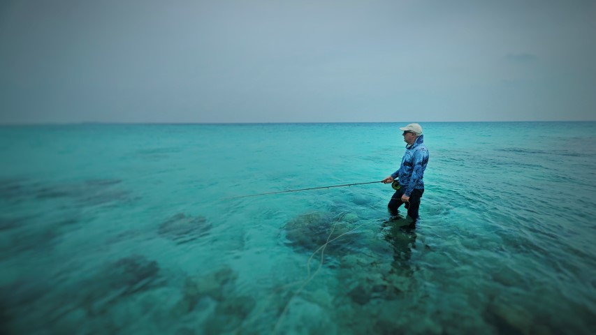 Maldives fly fishing.